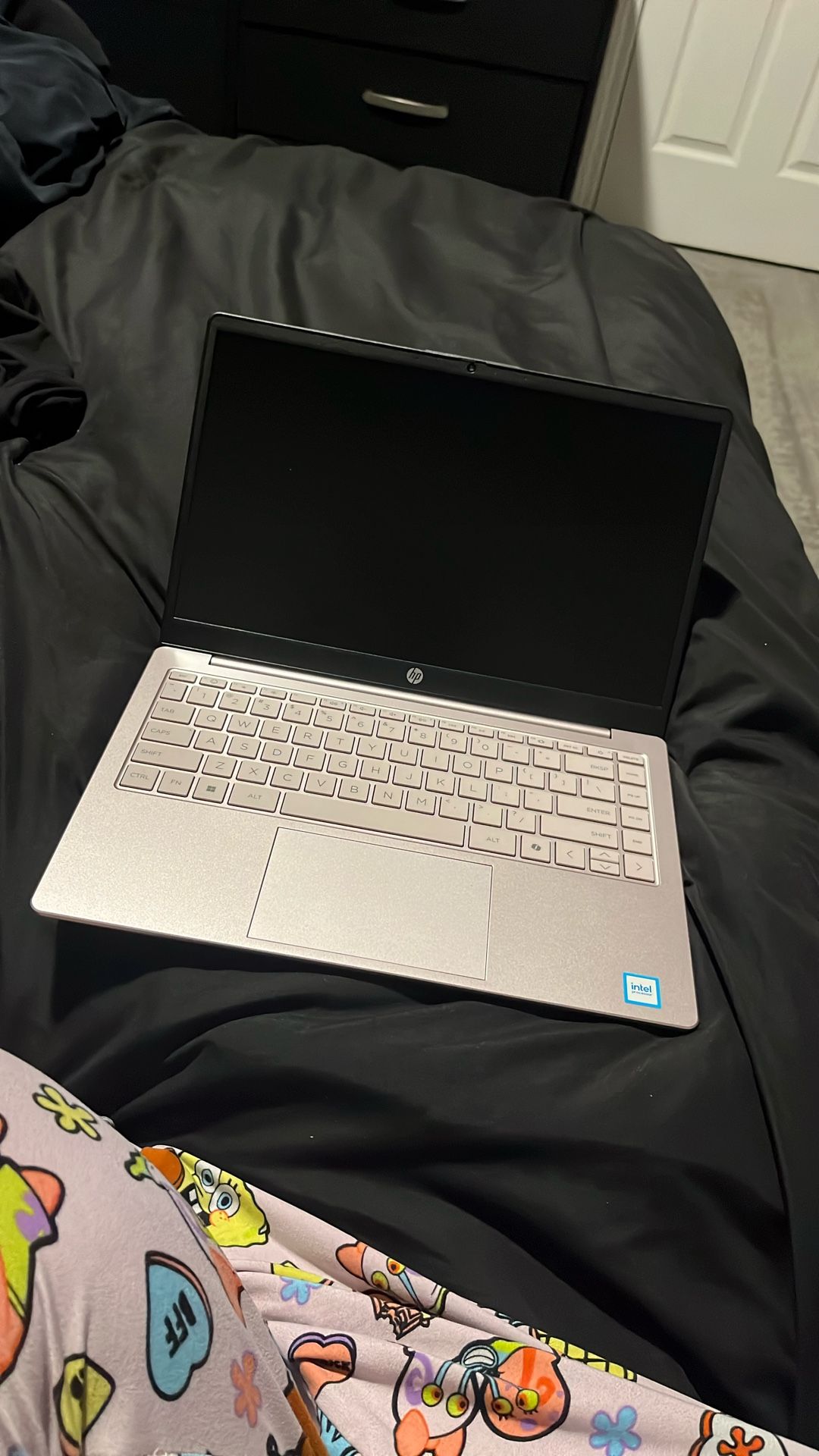 Pink HP Laptop