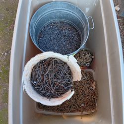 Tub of Construction Nails / Carpenter Nails 