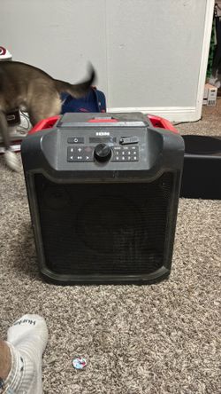 Ion speaker