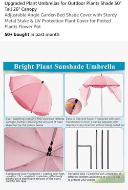 Upgrade Plants umbrellas