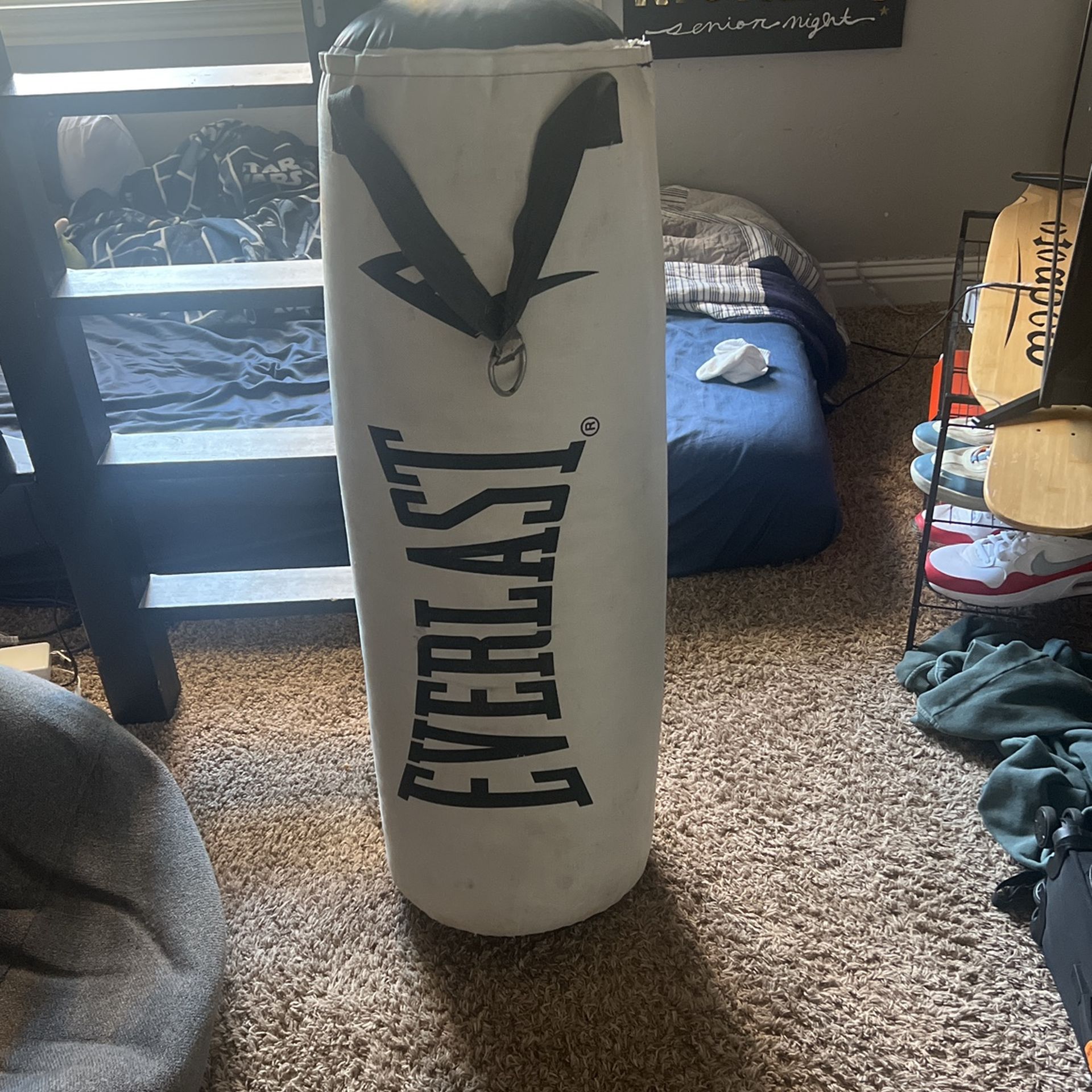 EverLast Punching bag
