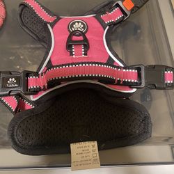 Extra small harness with matching leash