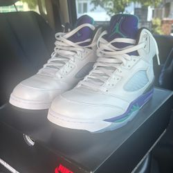 Jordan 5 Grape