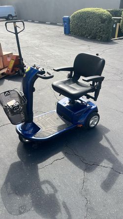 Scooter Golden Companion
