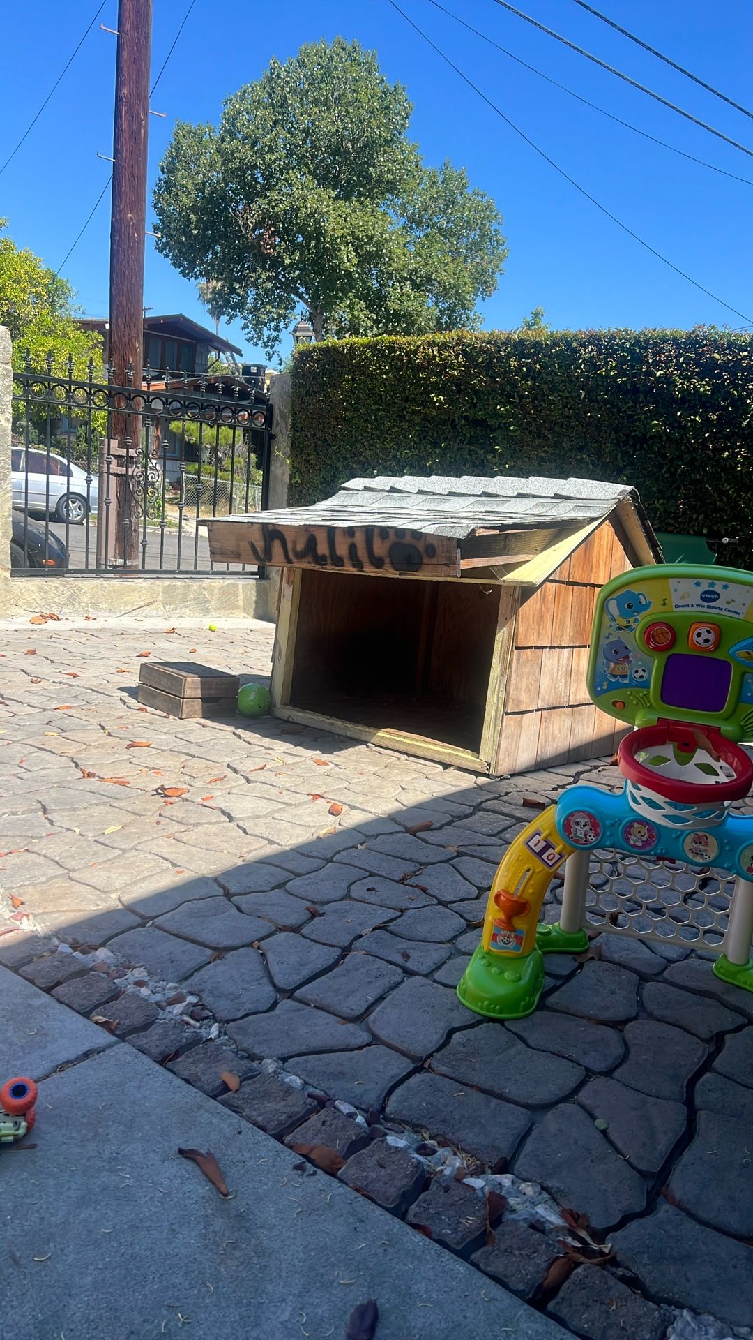 Dog House 
