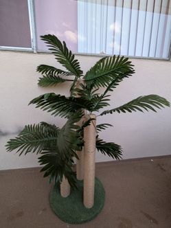 Lightly Used Beautiful Palm Tree Cat Scratching Post