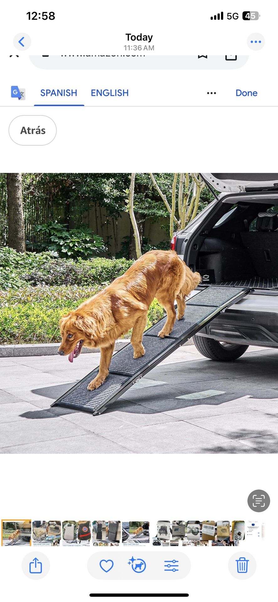 Ramp For Pets New