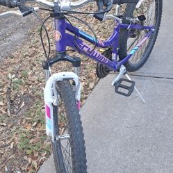 Bicycle $120 For Boths