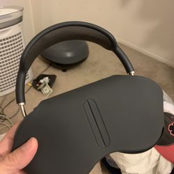 Apple ipod max Headphones 