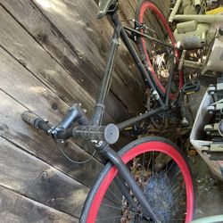 Road Bike Saddles Ladder BBQs Ice Chest Springer Beach Cruiser 