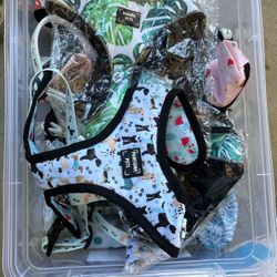 Arnés Y Collares De Perros / Dog Collars And Harness