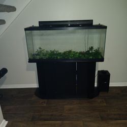 50" Fish Tank