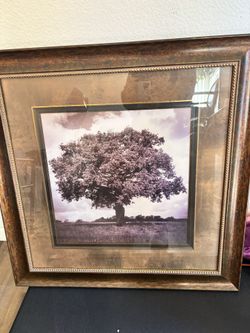 Tree Frame