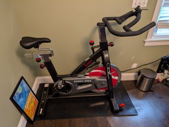 Sunny Exercise Spin Bike