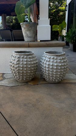 Terracotta pots