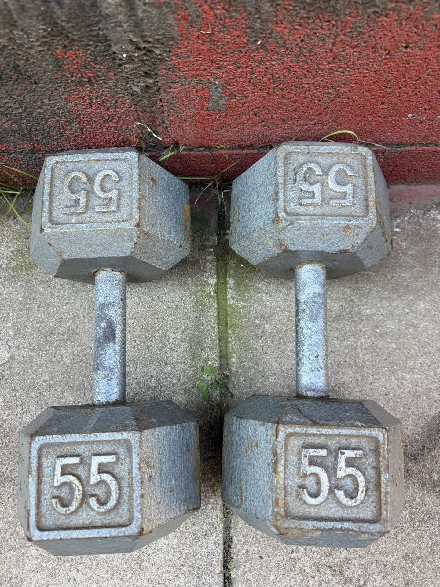 55 Lbs Dumbbell Weights 