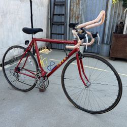 Vintage Trek Road Bike ( 1000 Series)