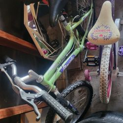 Med Size Bike  (Girl)