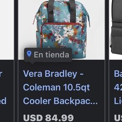 Cooler Backpack 