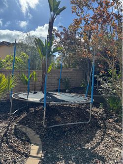 FREE Trampoline, Pick Up Today