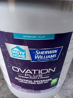 5 gallons Interior Flat Light Beige Paint