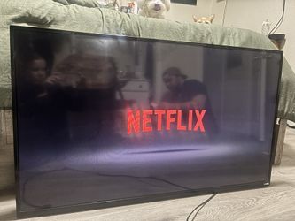 48 Inch Vizio Tv 