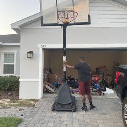 Basketball Hoop And Stand 
