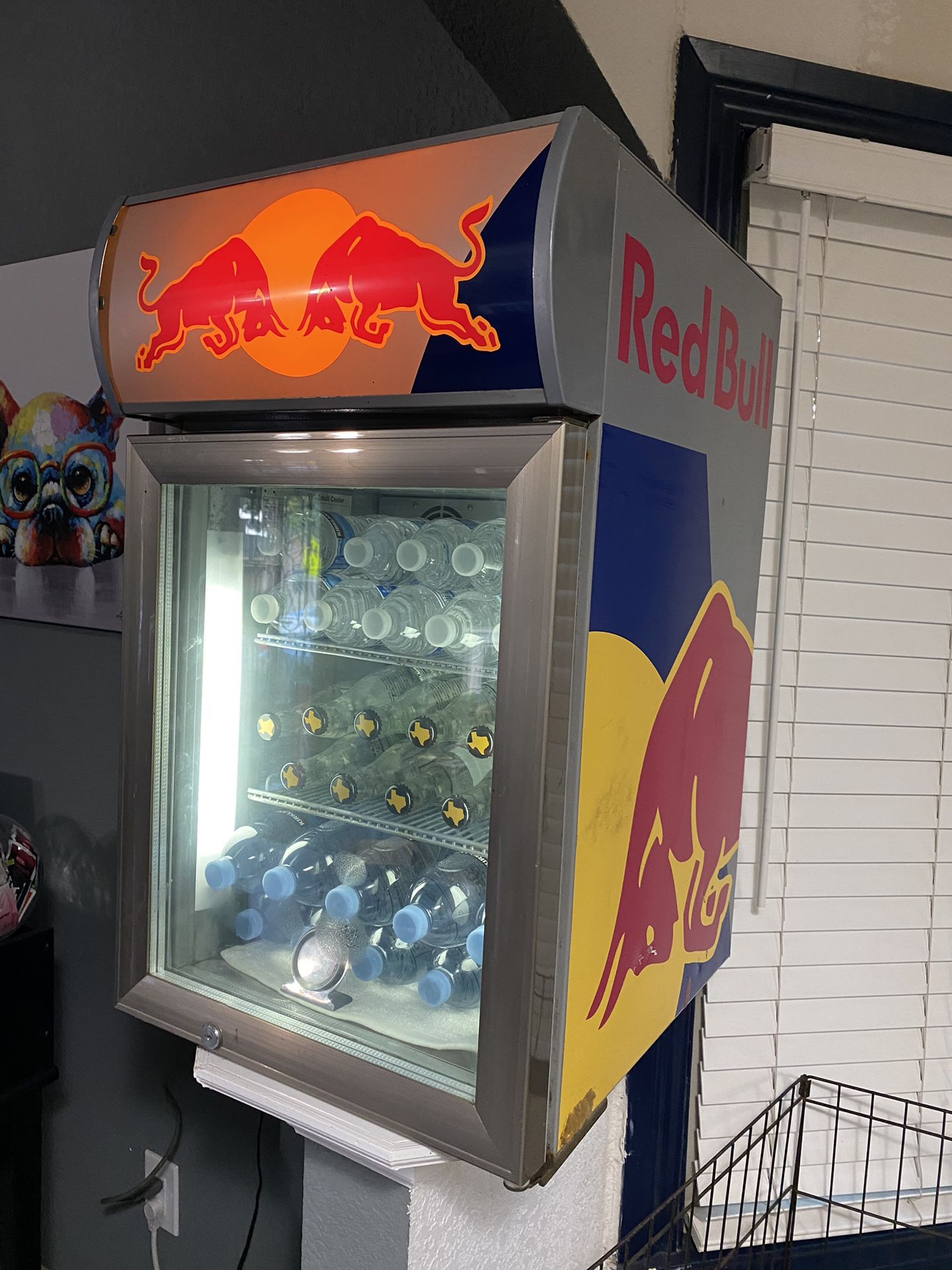 Cold Red Bull 30°-35° Mini Fridge (FIRM)