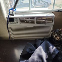 Window Air Conditioner 