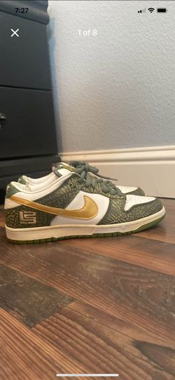 Rare 2005 Lebron James Dunk Lows