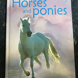 Books For Kids 