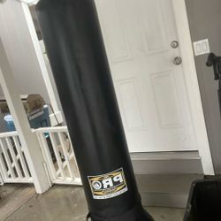 Pro Kick Boxing Stand 