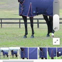 Weatherbetta Horse Turnout 