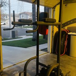 Weider Pull Up Dip Station 