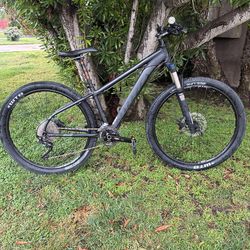 Breezer mountain bike