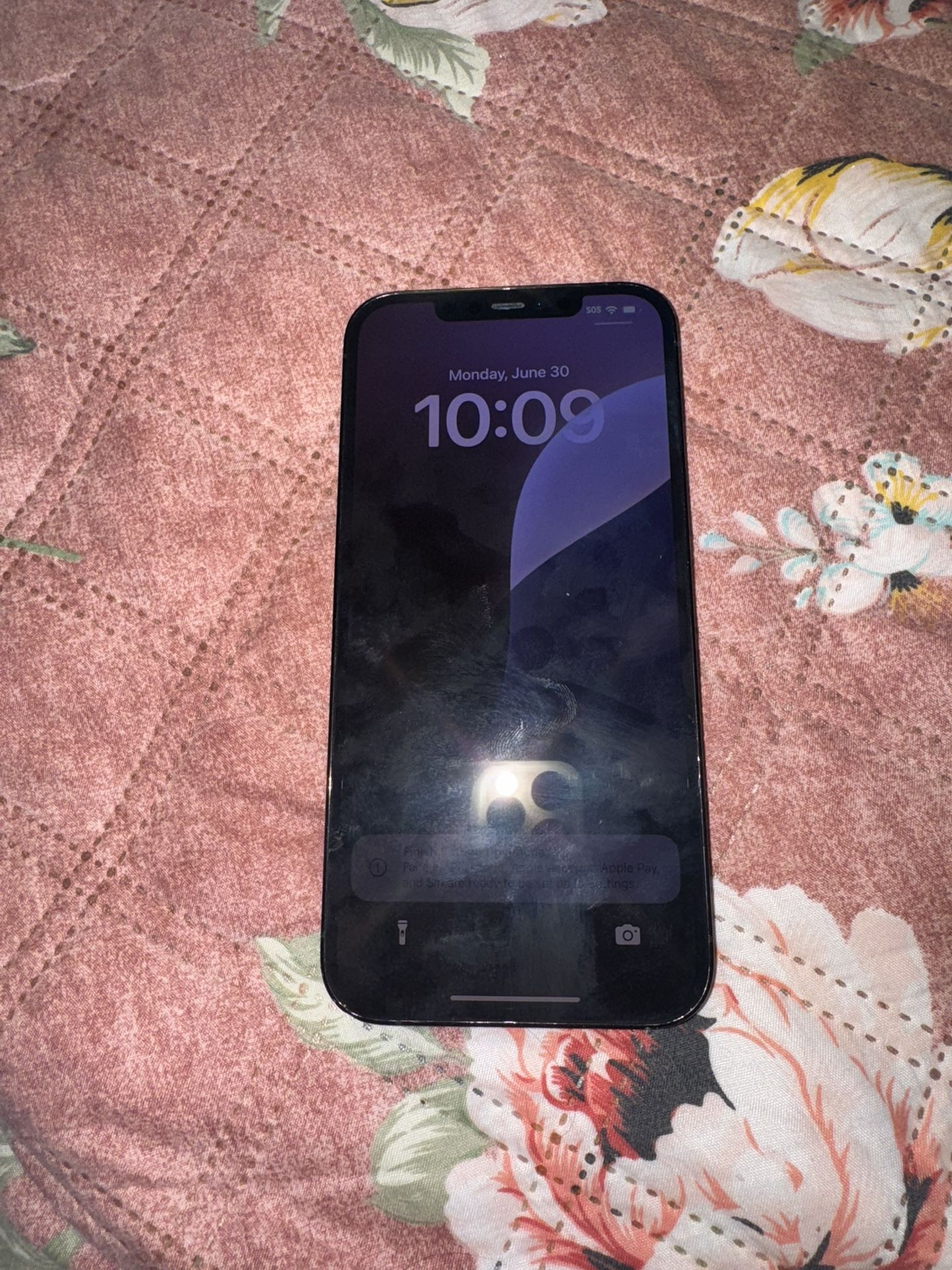 iPhone 12 Pro Max 128 GB