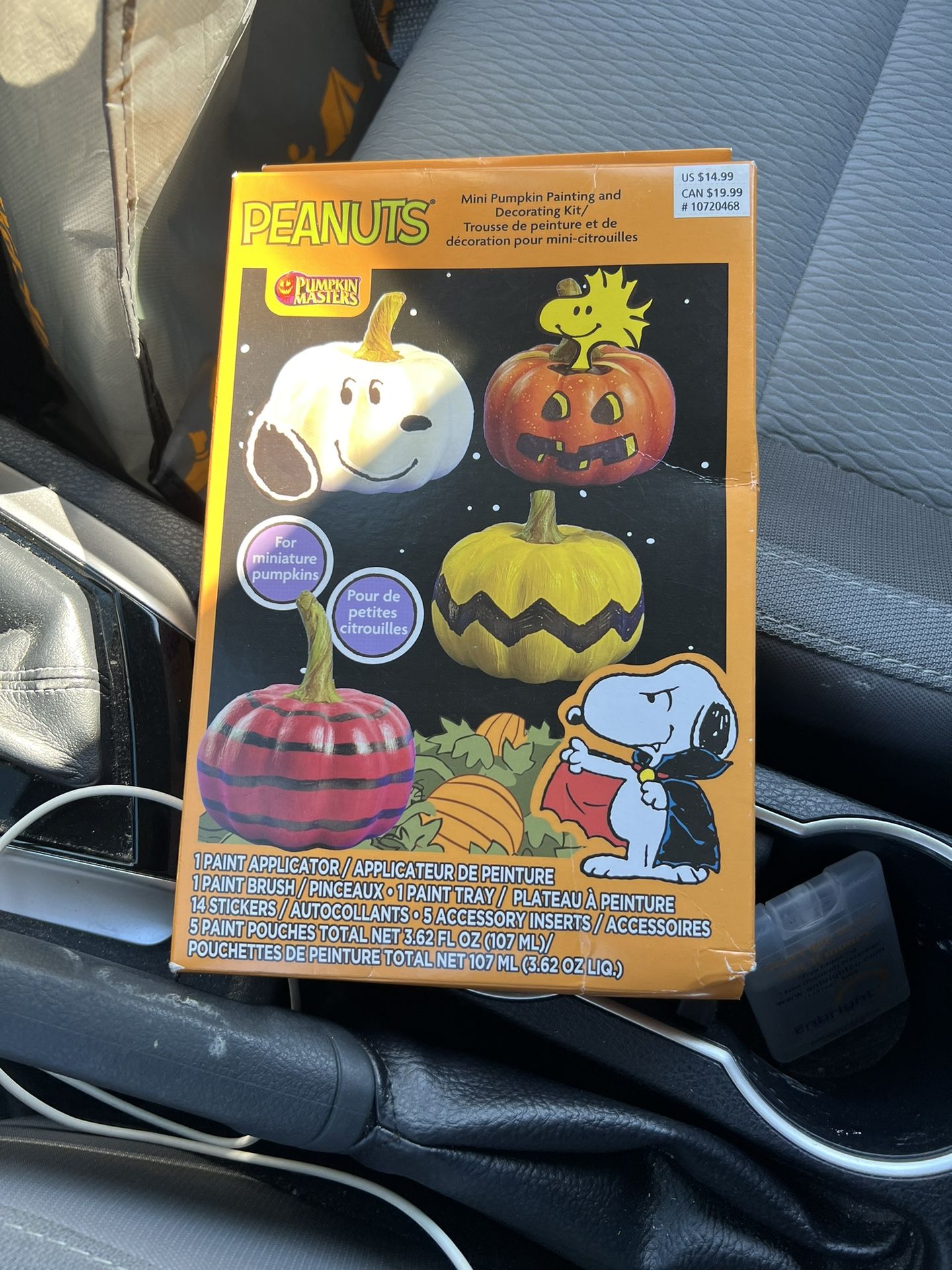 Peanuts Mini Pumpkin, Painting, And Decorating Kit Brand New