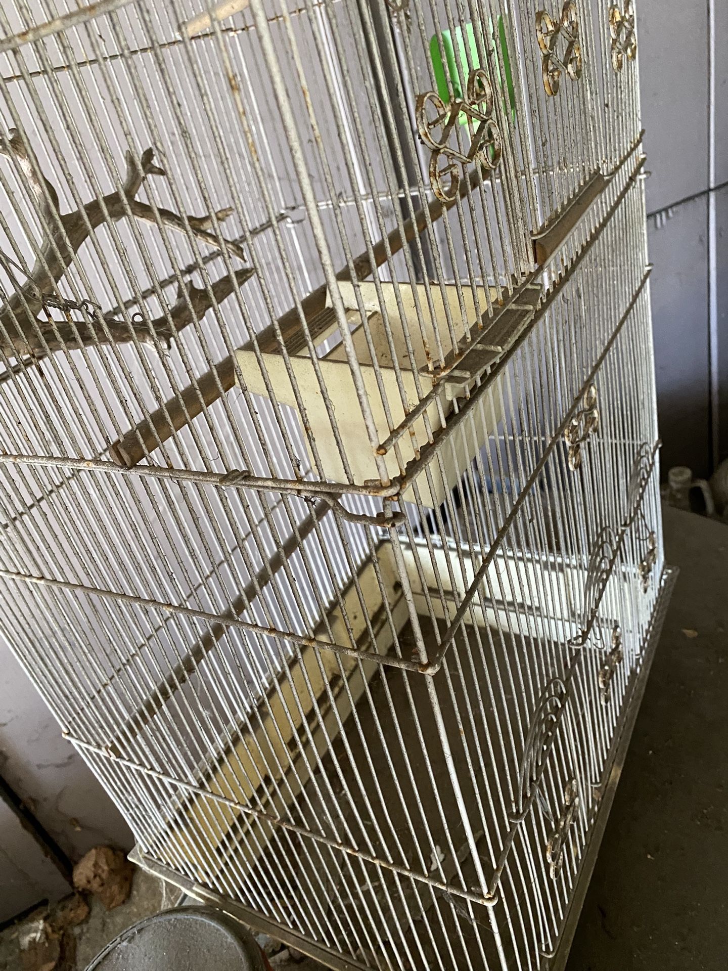 Big Bird Cage