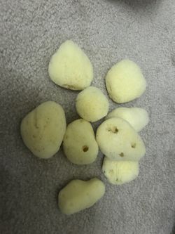 Natural sea sponge brand new $3 each