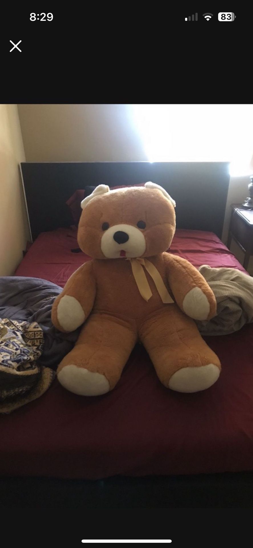 Giant Teddy Bear