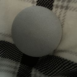 Google Nest Mini With The Wire