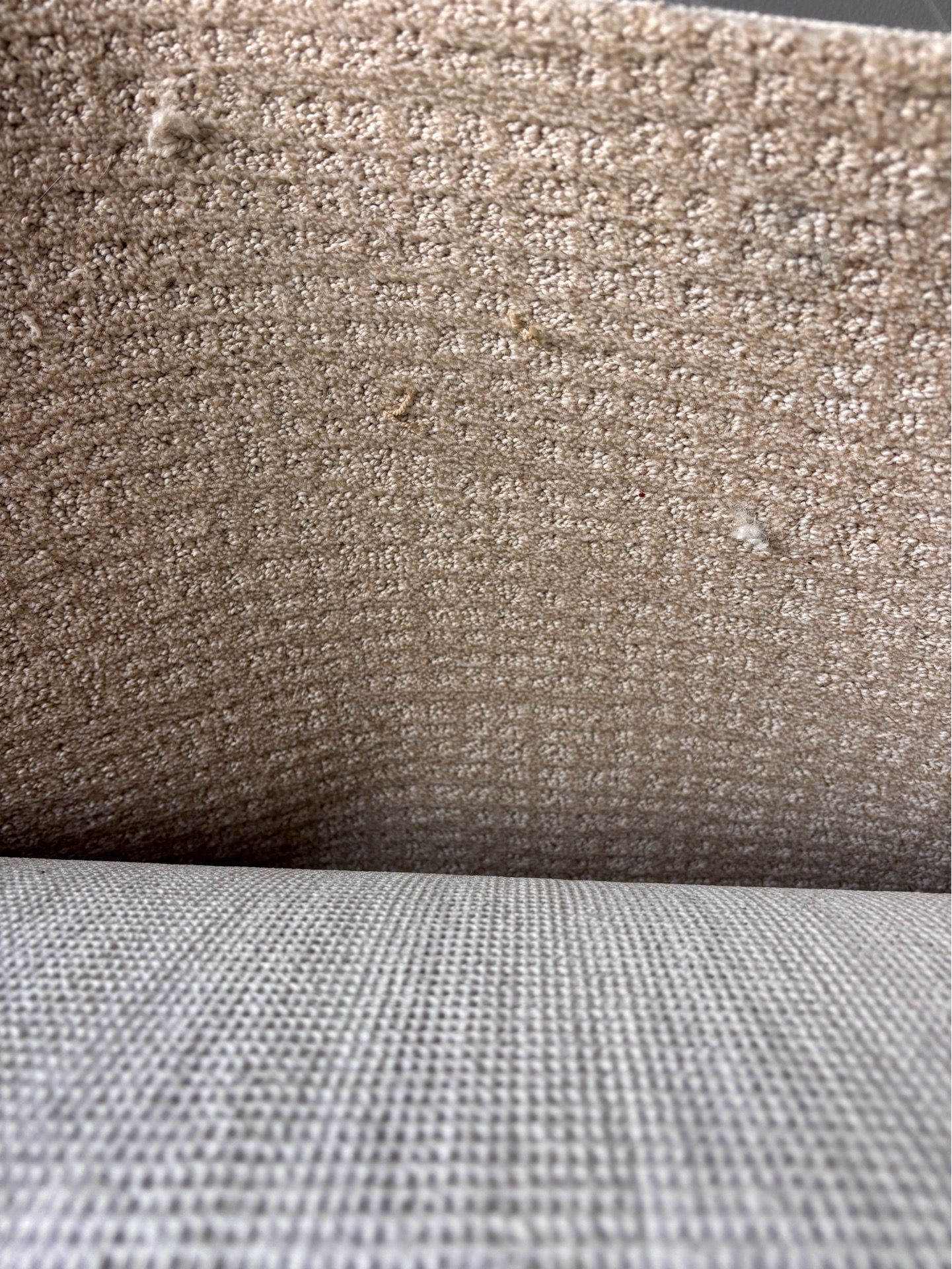 Pattern beige carpet