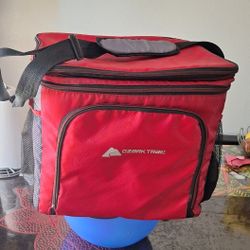 LONCHERA GRANDE 15$ COMO NUEVA