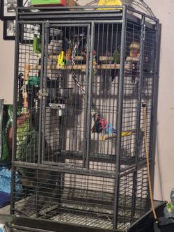 Conure cage
