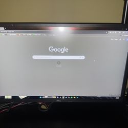 DELL MONITOR 