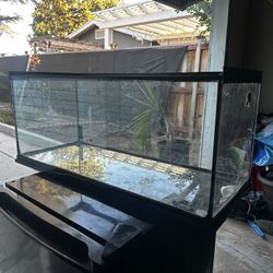 Reptile Tank