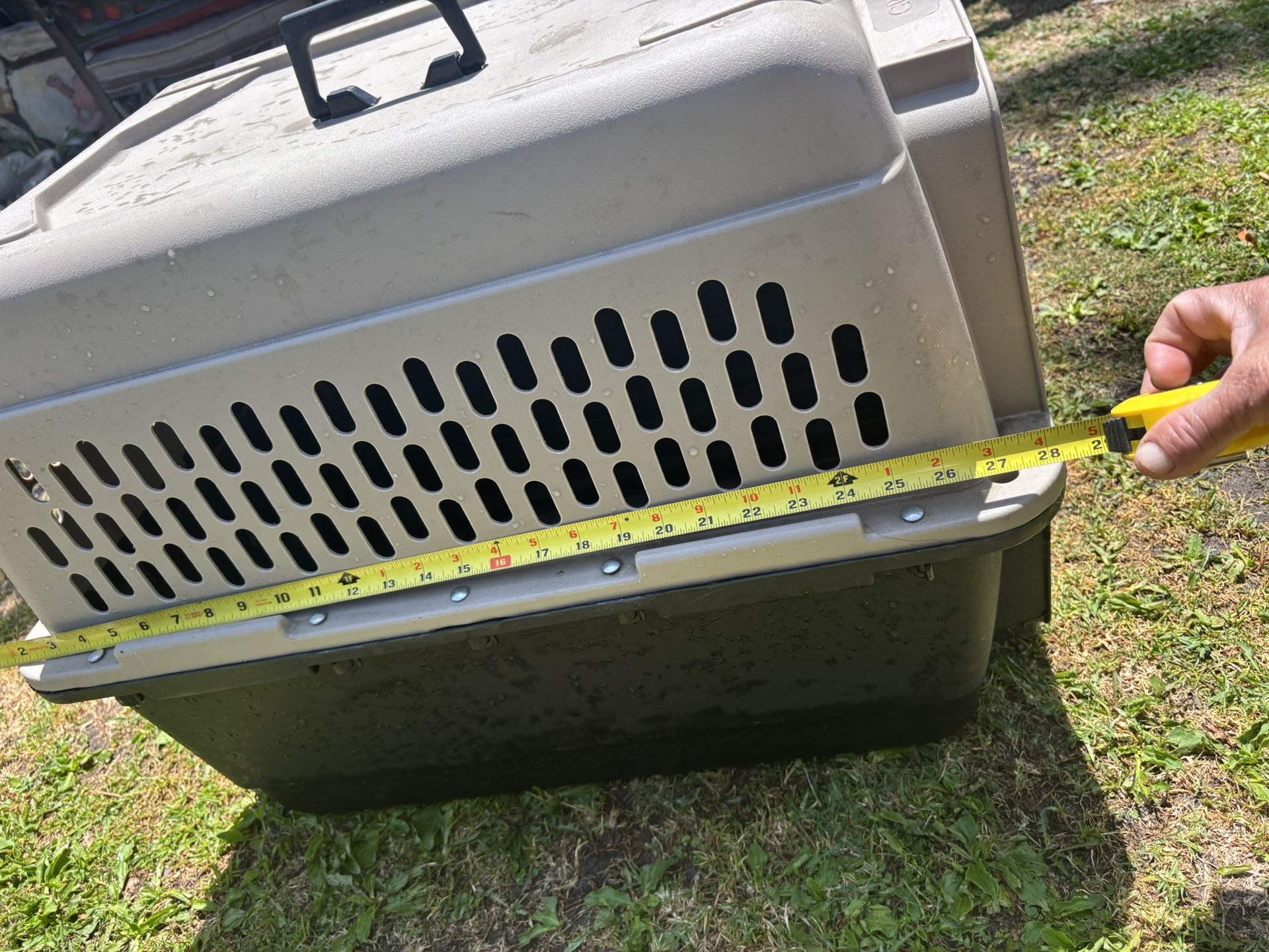 Dog Crate