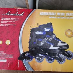 Roller Blades