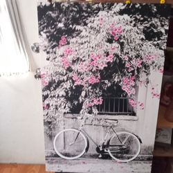 Flower  and  bike Picture, 