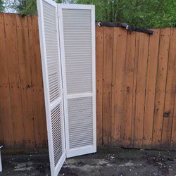 Folding Door 36x79 Wood